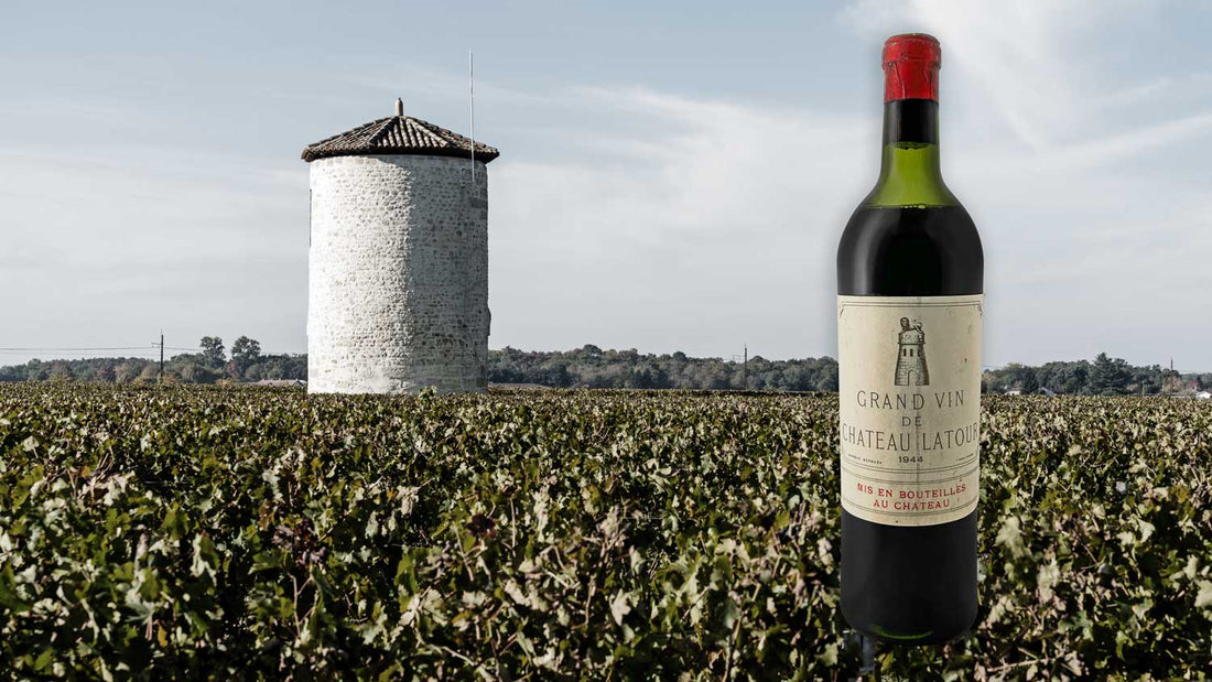 Eine Weinflasche von Chateau Latour im Vordergrund, im Hintergrund ein Weinberg und ein Wasserturm im Weinbaugebiet Pauillac