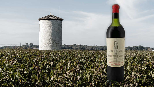 Eine Weinflasche von Chateau Latour im Vordergrund, im Hintergrund ein Weinberg und ein Wasserturm im Weinbaugebiet Pauillac