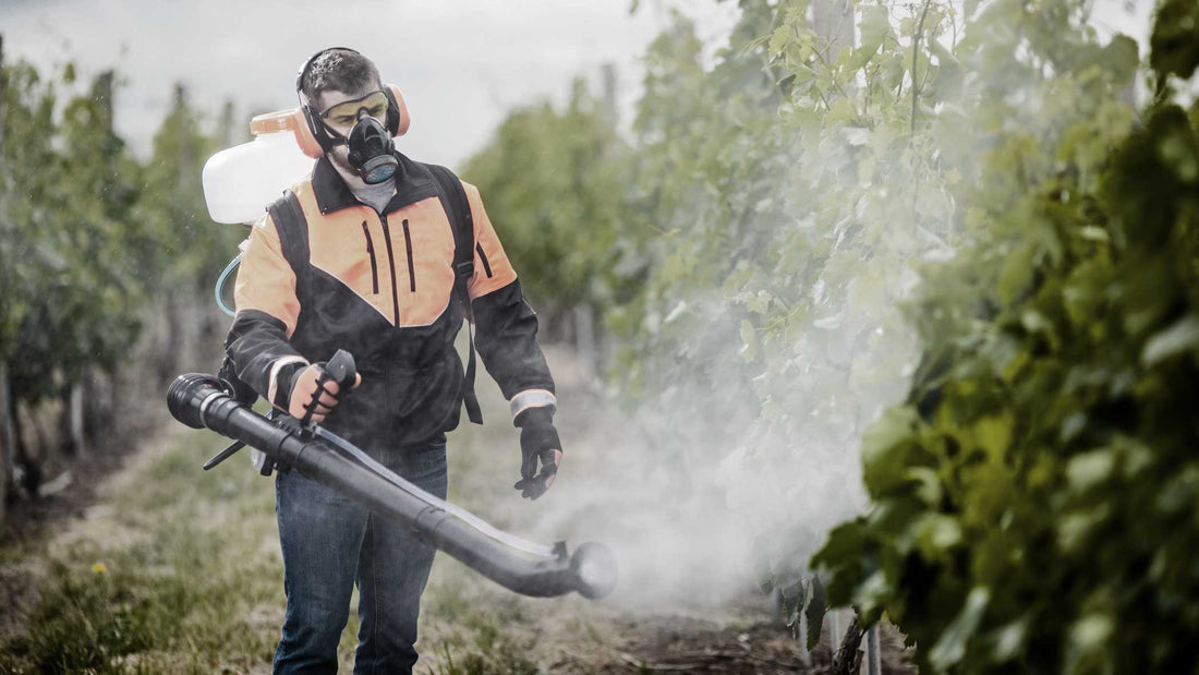 Ein Mann in einer orange-schwarzen Jacke besprüht einen Weinberg mit einem Sprühgerät.
