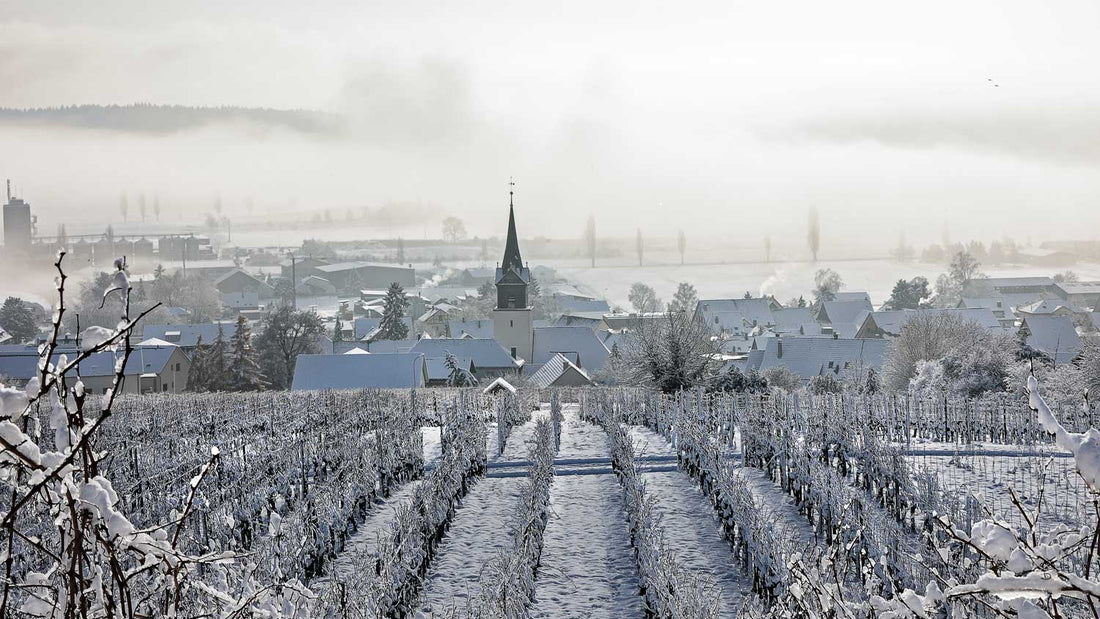 Eine winterliche Landschaft mit verschneitem Weinberg und Stadt im Winter