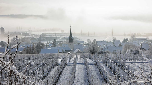 Eine winterliche Landschaft mit verschneitem Weinberg und Stadt im Winter