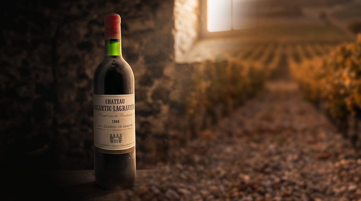 Flasche Château Malartic-Lagravière im Weinkeller, im Hintergrund die Weinberge von Pessac-Léognan